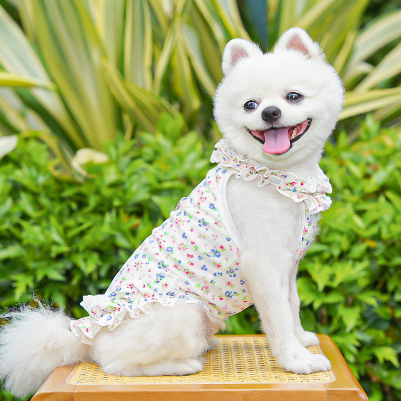 Fashion Floral Dog Dress Dog S - Summer Loving Clothing 评论和价格