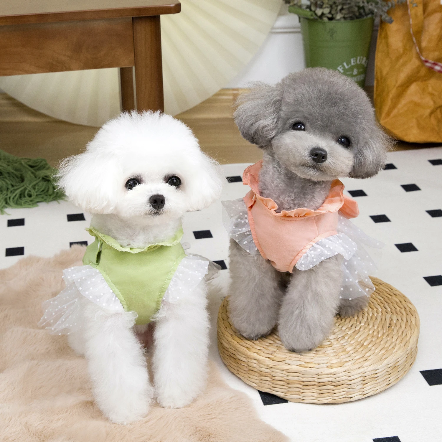 Cute Dog Summer Dress Cat Lace - Summer Loving Clothing 评论和价格